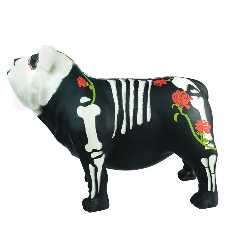 BULLDOG CATRINA